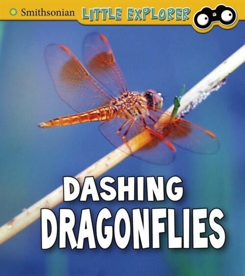 Dashing Dragonflies (Hardcover)