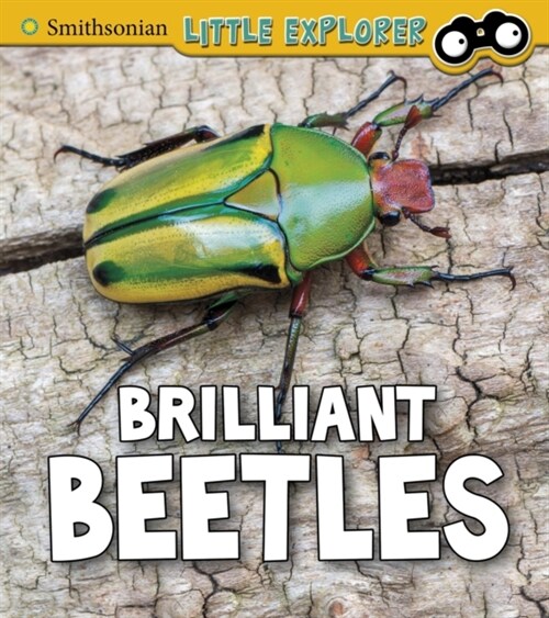 Brilliant Beetles (Hardcover)