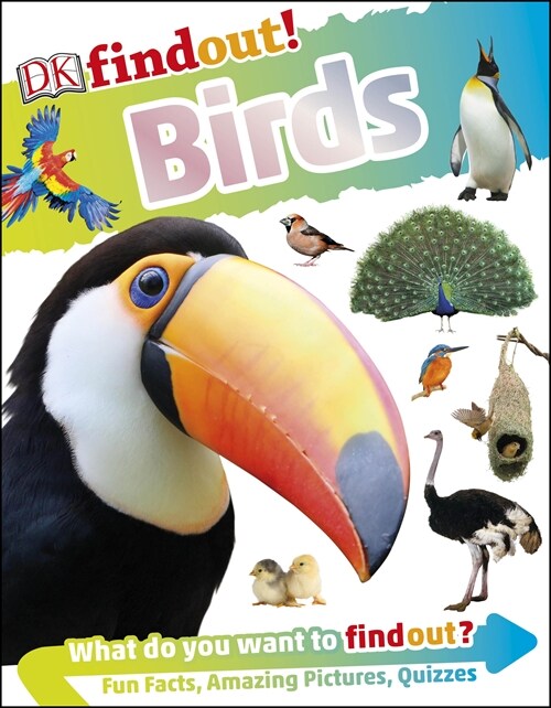 DKfindout! Birds (Paperback)