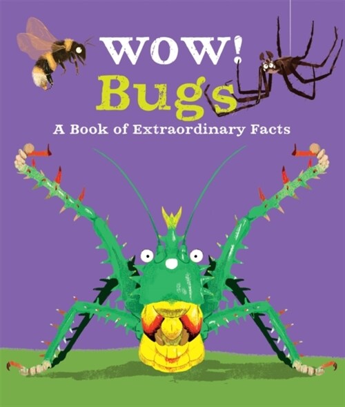 [중고] Wow! Bugs (Paperback)