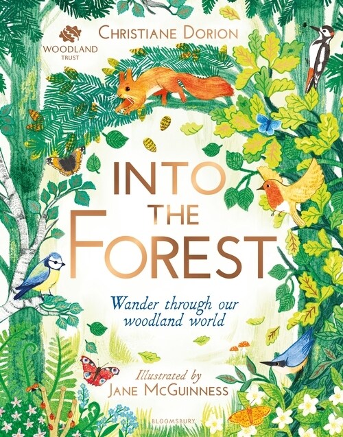 The Woodland Trust: Into The Forest (Hardcover)