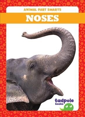 Noses (Paperback)