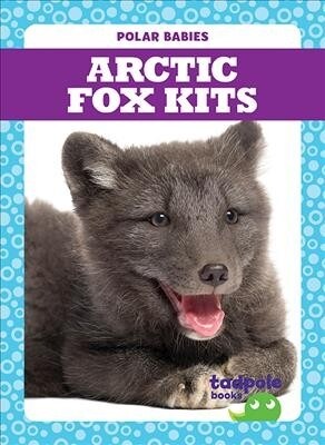 Arctic Fox Kits (Hardcover)