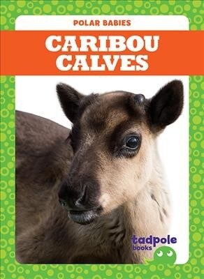 Caribou Calves (Hardcover)