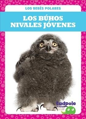 Los Buhos Nivales Jovenes (Snowy Owlets) (Hardcover)
