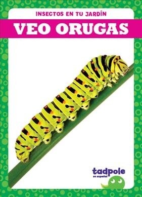 Veo Orugas (I See Caterpillars) (Hardcover)