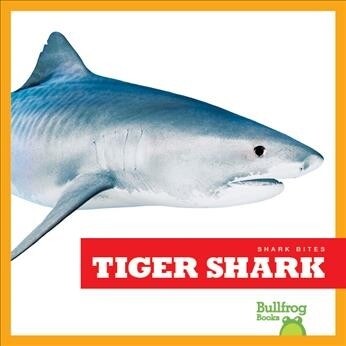 Tiger Shark (Hardcover)