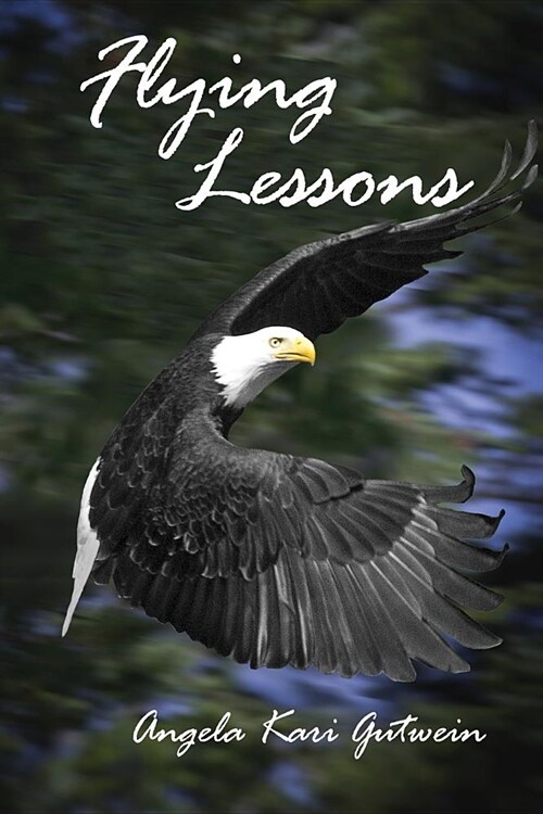 Flying Lessons (Paperback, First Printing)