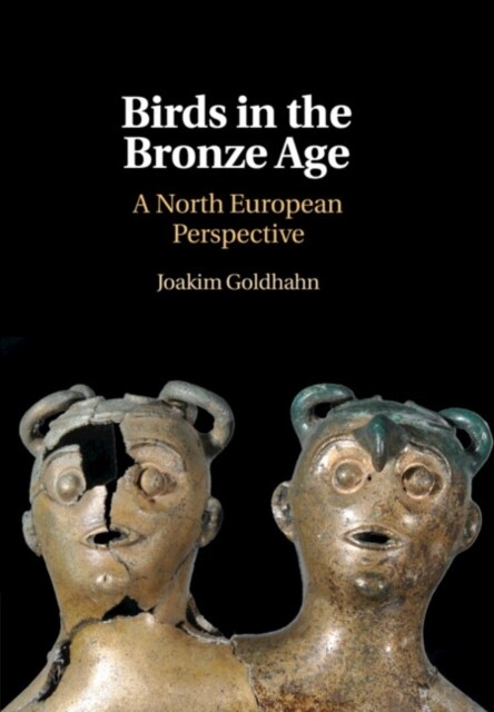 Birds in the Bronze Age : A North European Perspective (Hardcover)