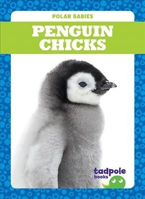 Penguin Chicks (Hardcover)