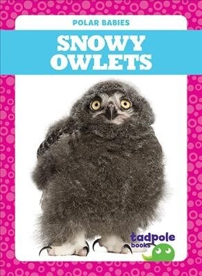 Snowy Owlets (Hardcover)