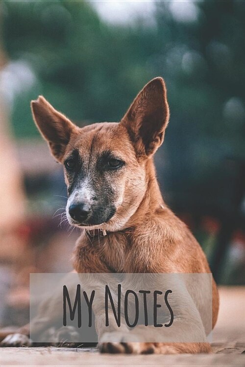 My Notes: The Most Famous Animals from Whole World Notebook, Journal, Note (110 Pages, Blank, 6 X 9) (Paperback)