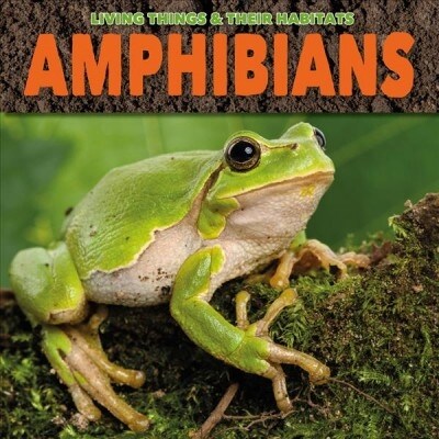 Amphibians (Paperback)