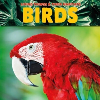 Birds (Paperback)