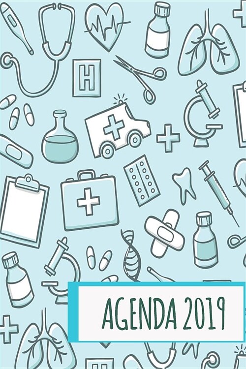 Agenda 2019: Agenda Mensual Y Semanal + Organizador I Cubierta Con Tema de Enfermeria I Enero 2019 a Diciembre 2019 6 X 9in (Paperback)