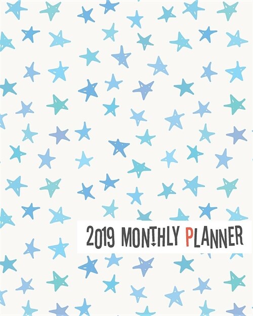 2019 Monthly Planner: Yearly Monthly Weekly 12 Months 365 Days Planner, Calendar Schedule, Appointment, Agenda, Meeting (Paperback)