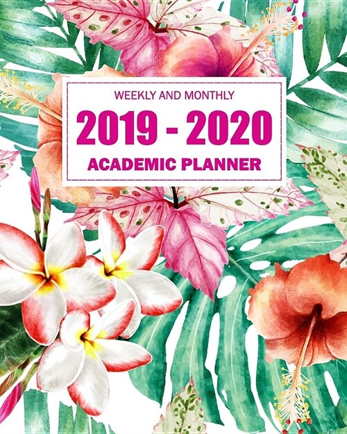 2019-2020 Academic Planner Weekly and Monthly: Calendar Oranizer at a Glance Monthly Planner and Yearly Calendar Academic Year July 2019-June 2020 (Paperback)