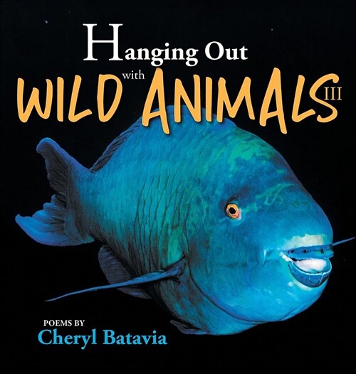 Hanging Out with Wild Animals - Book Three (Hardcover)