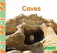 Caves (Library Binding)