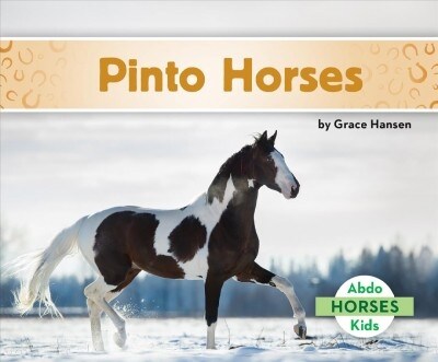 Pinto Horses (Library Binding)