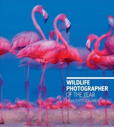 Wildlife Photographer of the Year: Highlights Volume 5 (Paperback)