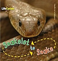 Life Cycles: Snakelet to Snake (Paperback)