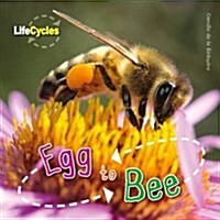 Life Cycles: Egg to Bee (Paperback)