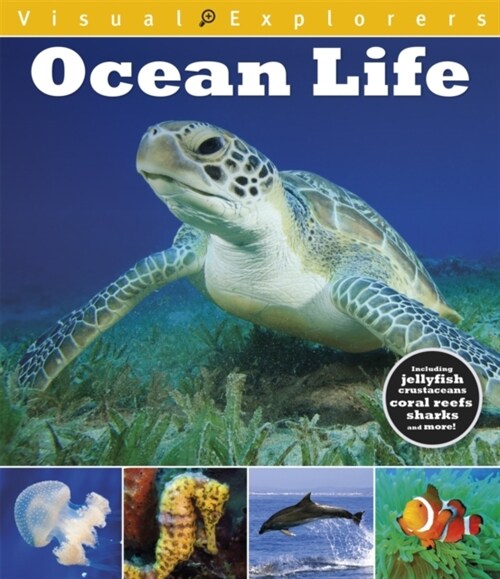 Visual Explorers: Ocean Life (Paperback)