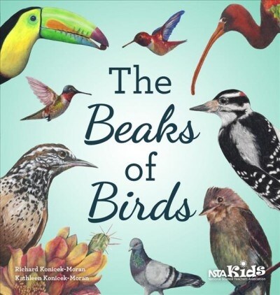 The Beaks of Birds (Paperback)