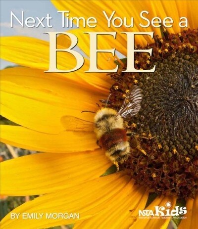 Next Time You See a Bee (Paperback)