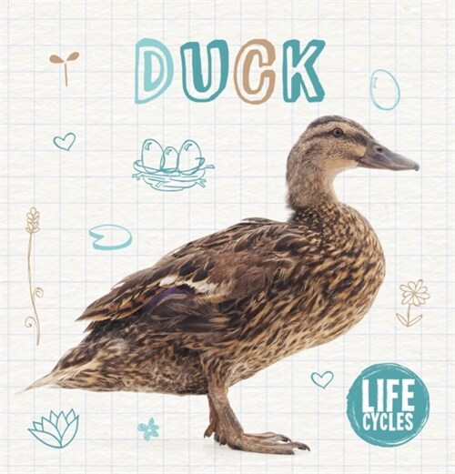 Duck (Hardcover)