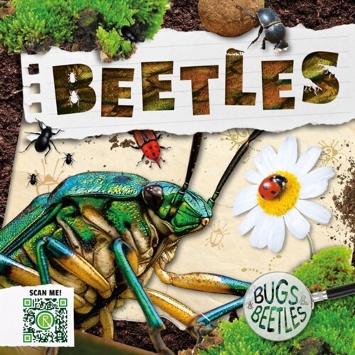 Beetles (Hardcover)