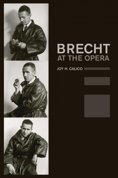 Brecht at the Opera: Volume 9 (Paperback)