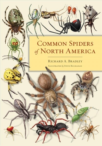 Common Spiders of North America (Paperback)