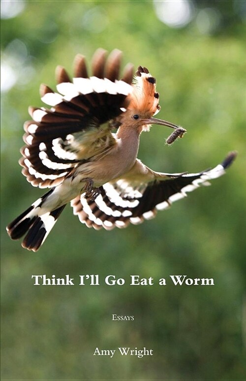Think Ill Go Eat a Worm (Paperback)