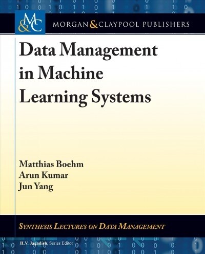 Data Management in Machine Learning Systems (Paperback)