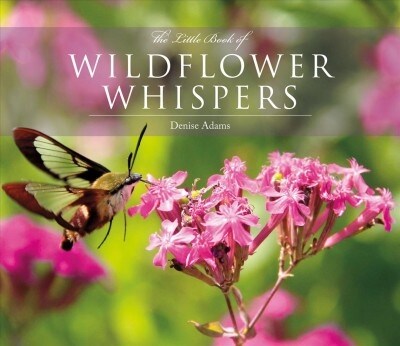 The Little Book of Wildflower Whispers (Hardcover)