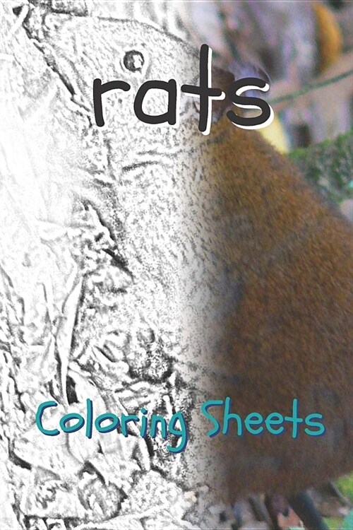 Rat Coloring Sheets: 30 Rat Drawings, Coloring Sheets Adults Relaxation, Coloring Book for Kids, for Girls, Volume 12 (Paperback)