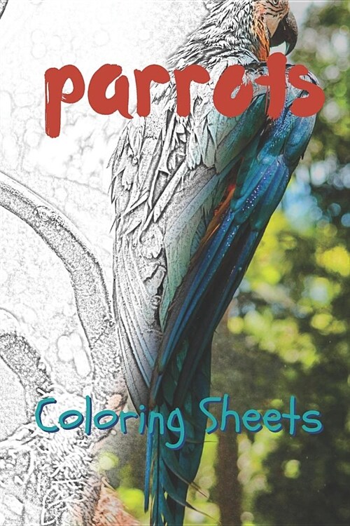 Parrot Coloring Sheets: 30 Parrot Drawings, Coloring Sheets Adults Relaxation, Coloring Book for Kids, for Girls, Volume 4 (Paperback)