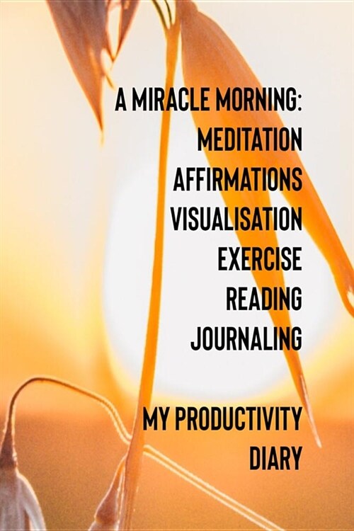A Miracle Morning Meditation Affirmations Visualisation Exercise Reading Journaling My Productivity Diary (Paperback)