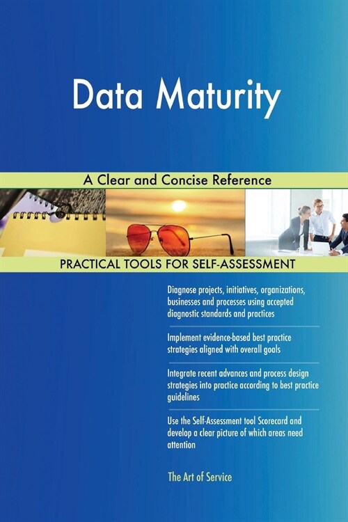 Data Maturity a Clear and Concise Reference (Paperback)