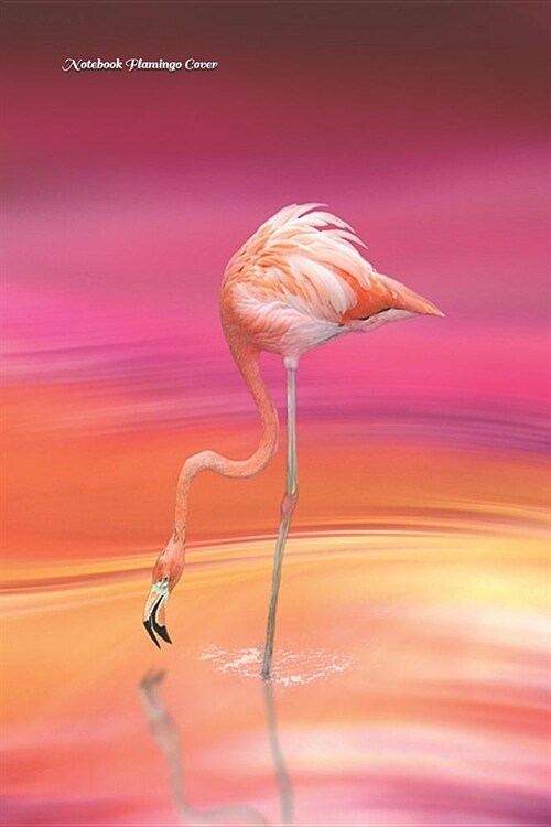 Notebook Flamingo Cover: 6 X 9 Lined Pages (Paperback)