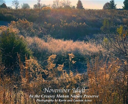 November Idyll: In the Creasey Mahan Nature Preserve (Hardcover)