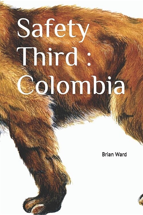 Safety Third: Colombia (Paperback)