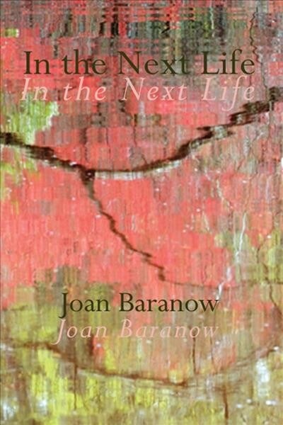 In the Next Life (Paperback)