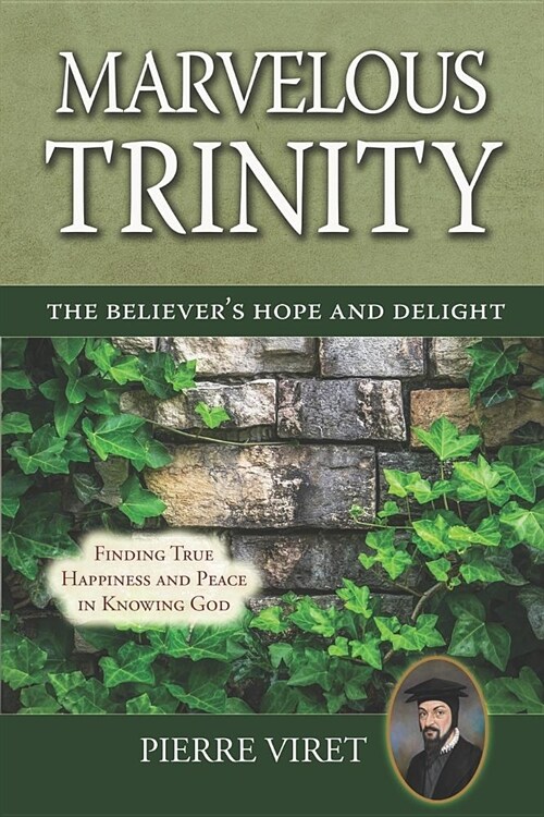 Marvelous Trinity, the Believers Hope and Delight: Finding True Happiness and Peace in Knowing God (Paperback)