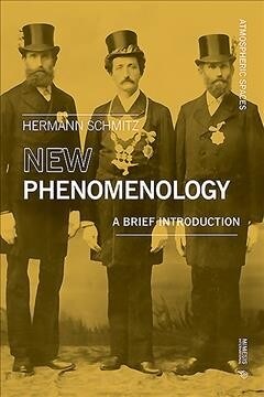 New Phenomenology: A Brief Introduction (Paperback)