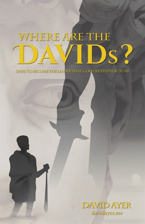 Where Are the Davids?: Dare to Become the Leader That God Created You to Be (Paperback)