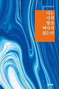 나는 나의 밤을 떠나지 않는다 :김운하 장편소설 