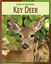 Key Deer (Library Binding)